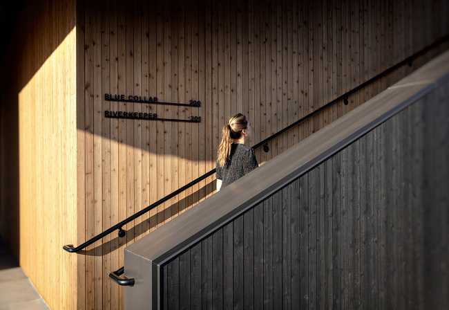 Multifunctional center in carbonized wood