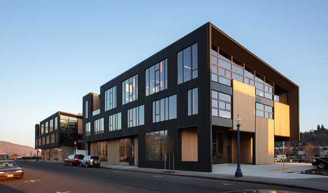 Multifunctional center in carbonized wood