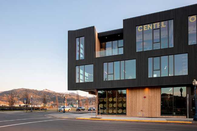 Multifunctional center in carbonized wood