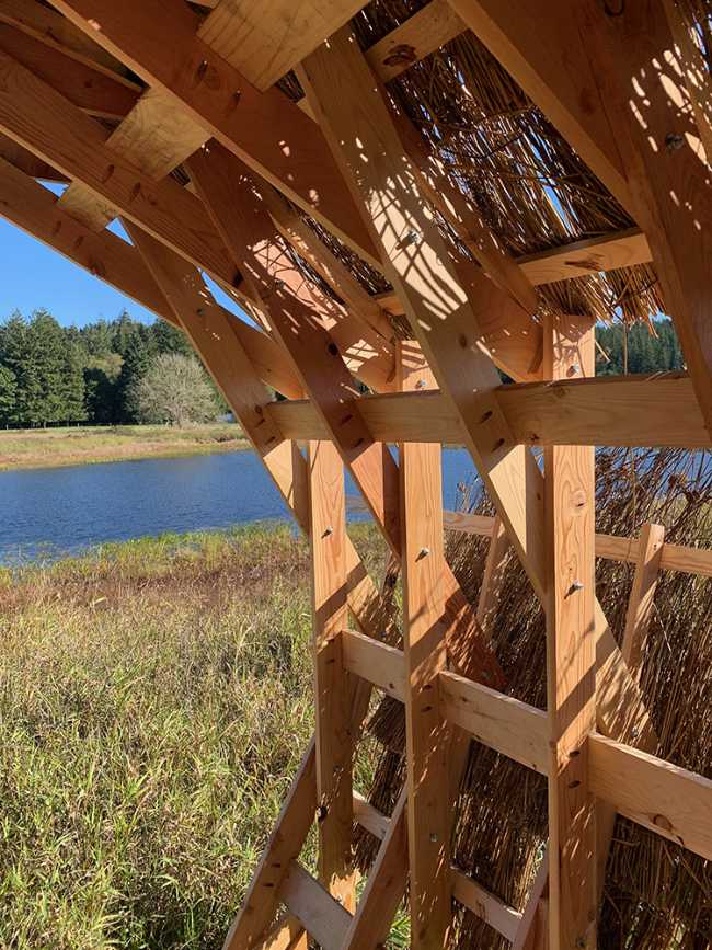 Circular wooden pavilion