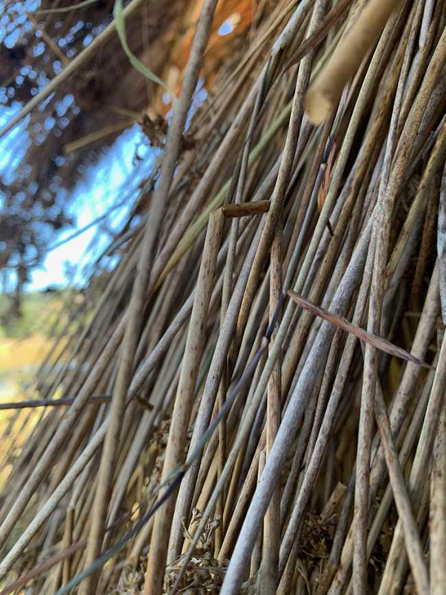 Circular wooden pavilion with external straw
