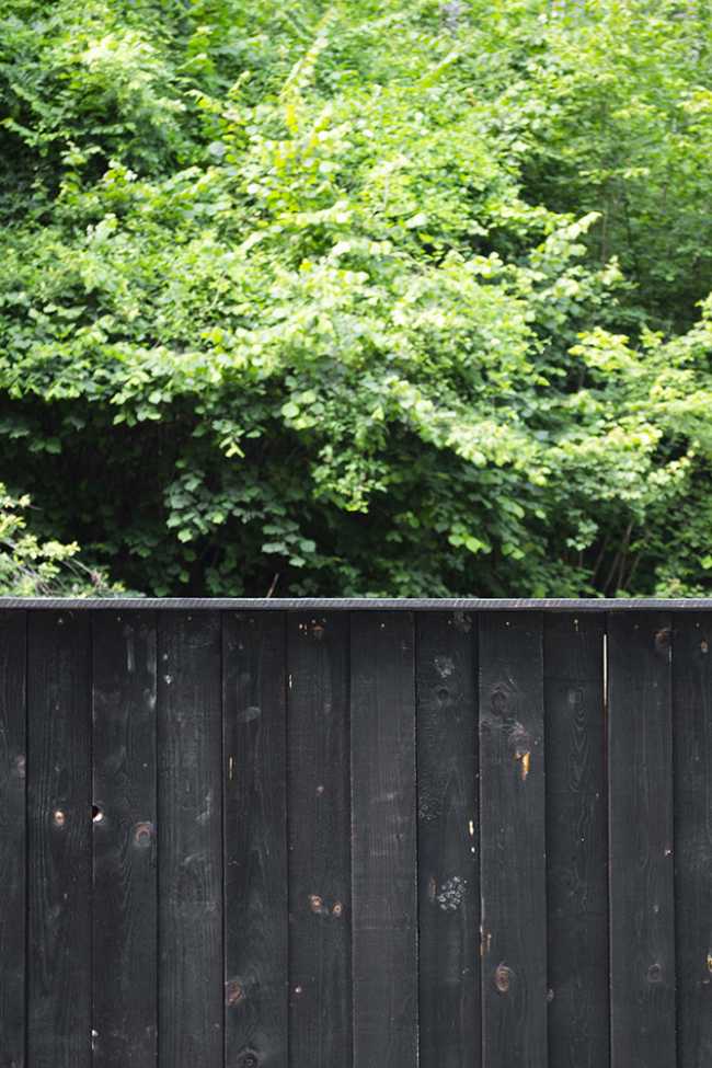 Blind wall in charred wood