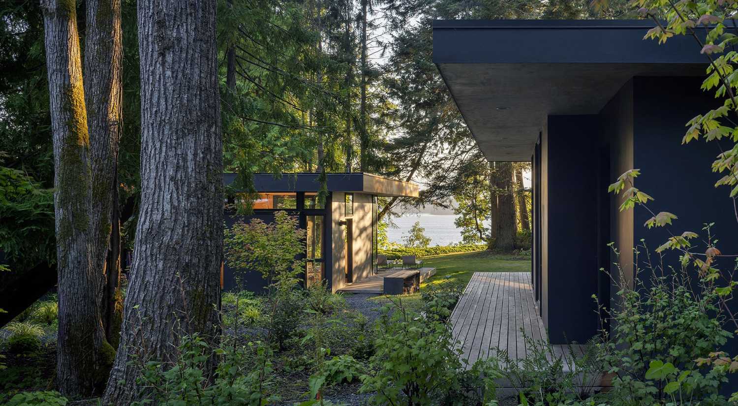 Wooden cabins between the trees