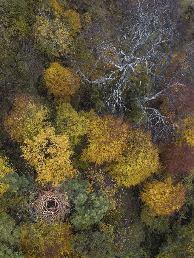 Ispace, l'installation en bois stimule l'interaction Homme-Environnement-Nature.