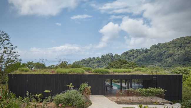 Villa with sound of Jungle Bird