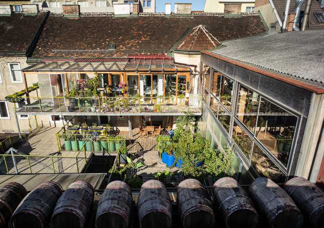 Aceteria con botti in legno