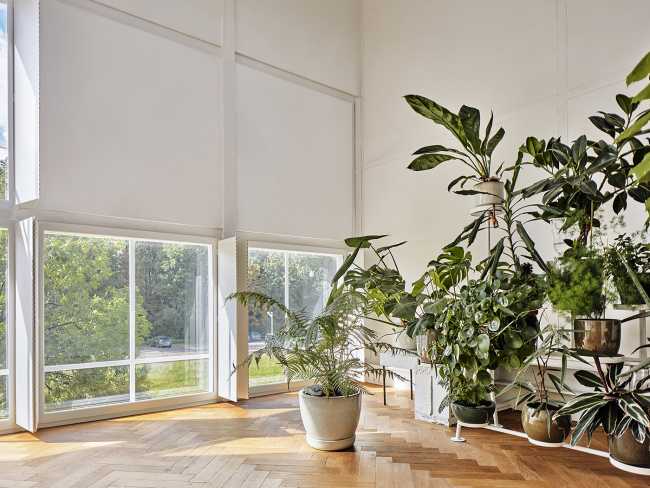 ex-industrial building oak stained glass