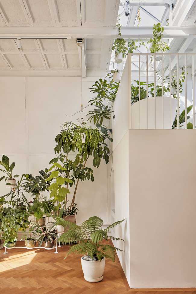 ex-industrial oak building