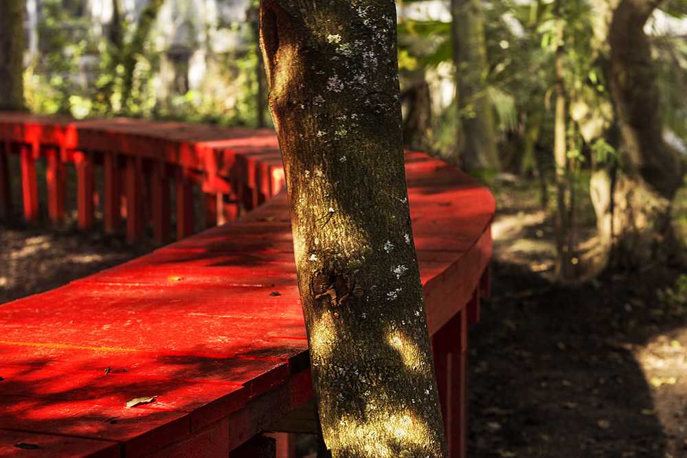 Circular bench continuous red