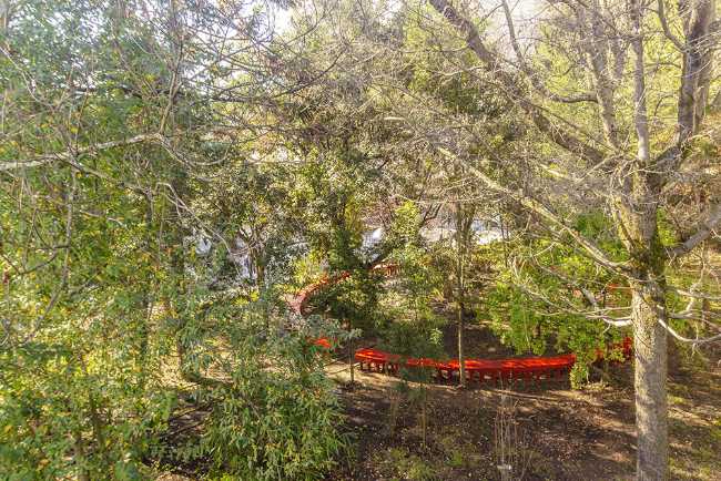 Circular bench continuous red between the trees