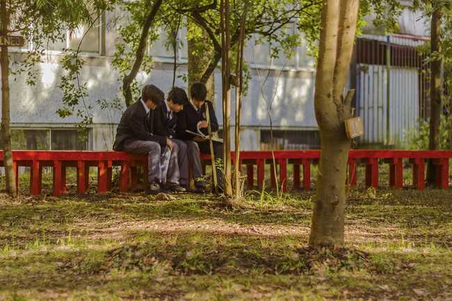 Red wooden bench