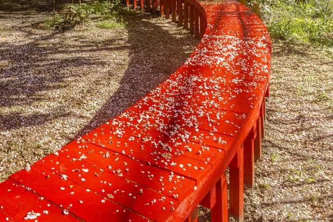 Detail of red wooden bench