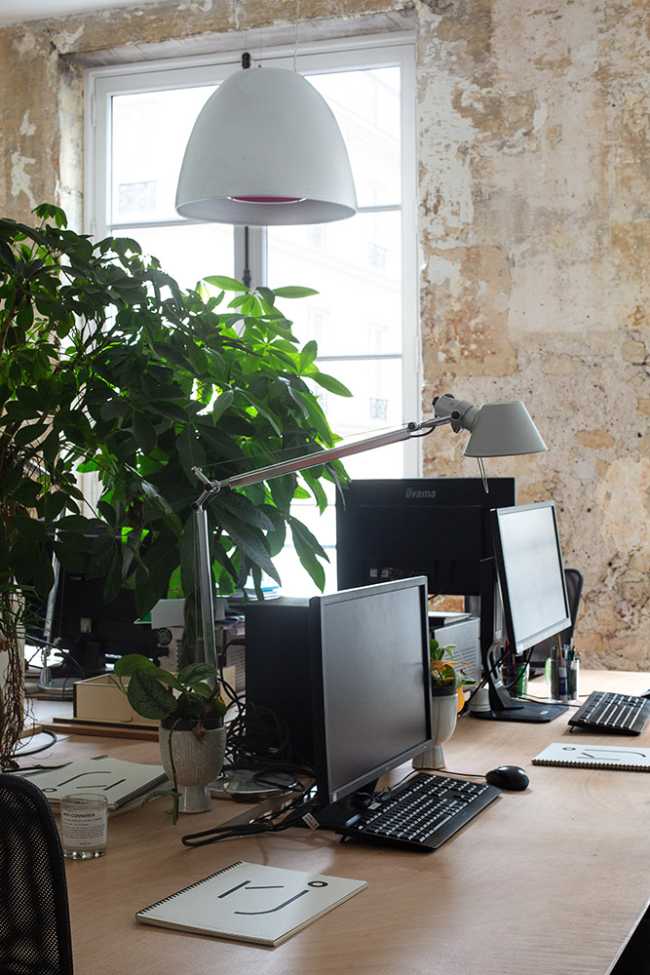 Desks with computers and plants