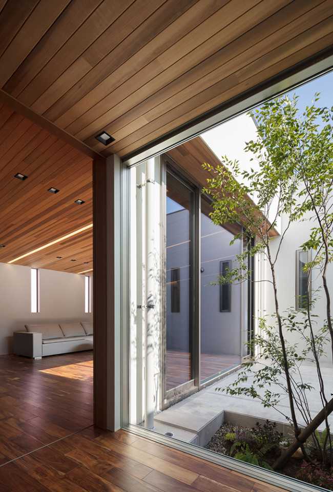 Cortile interno e interior in cedro rosso