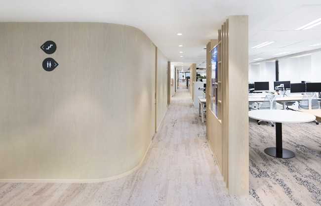 Open space office and light wood wall