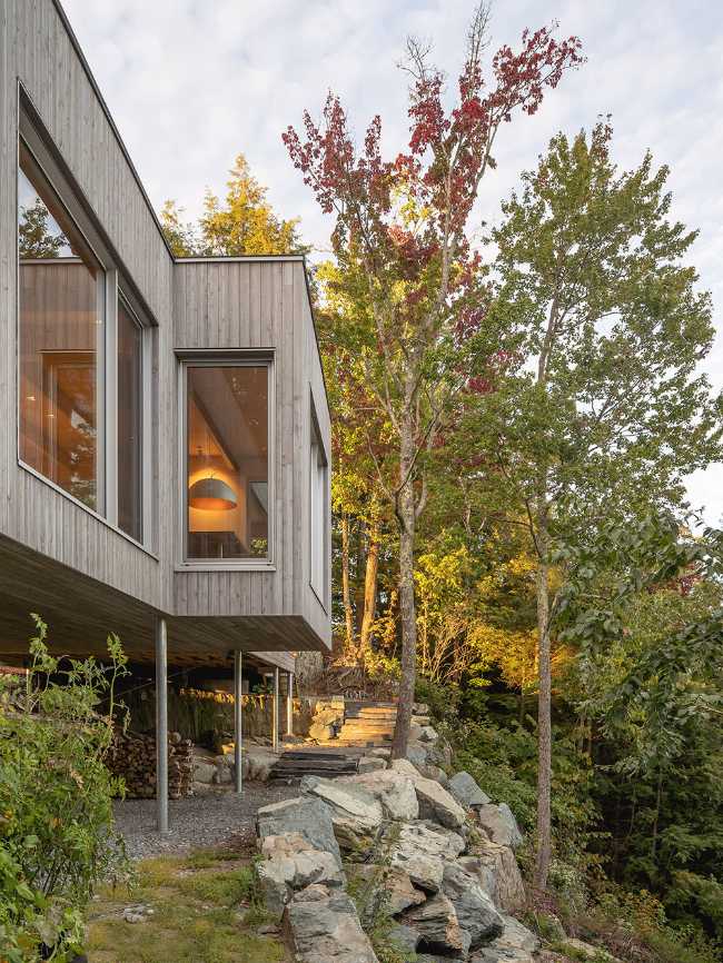 Forest House: walls that do not separate but welcome into nature