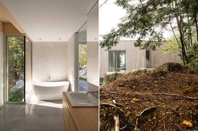 Forest House: walls that do not separate but welcome into nature