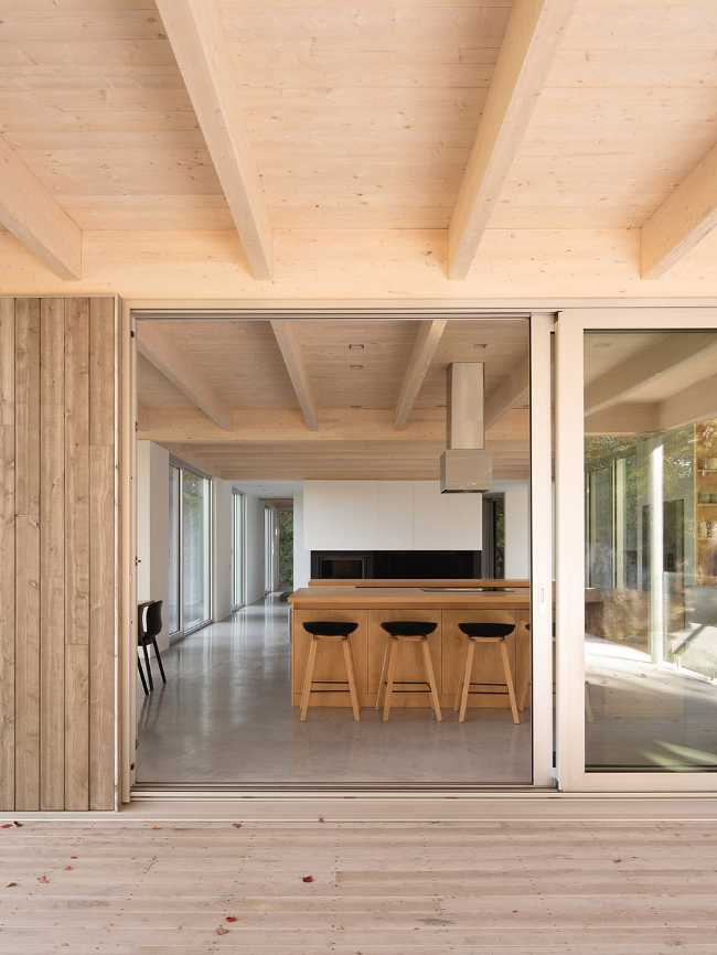 Forest House: walls that do not separate but welcome into nature