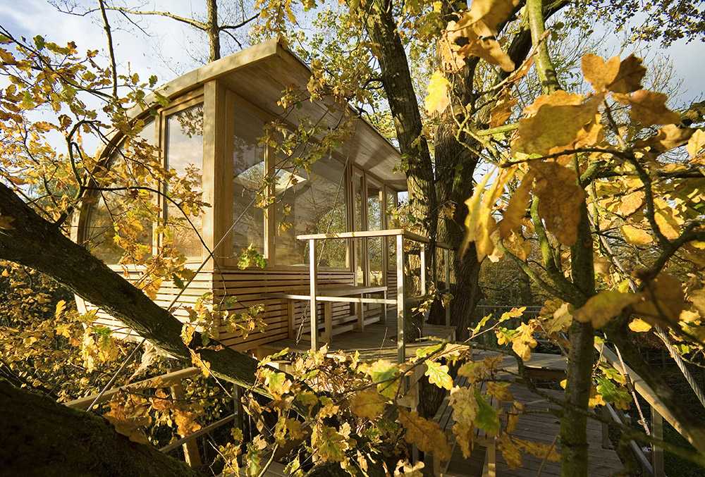 Semicircular house among the trees