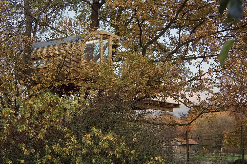 Semicircular house among the trees