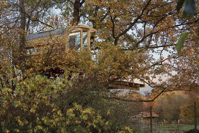 Casa semicircolare tra gli alberi