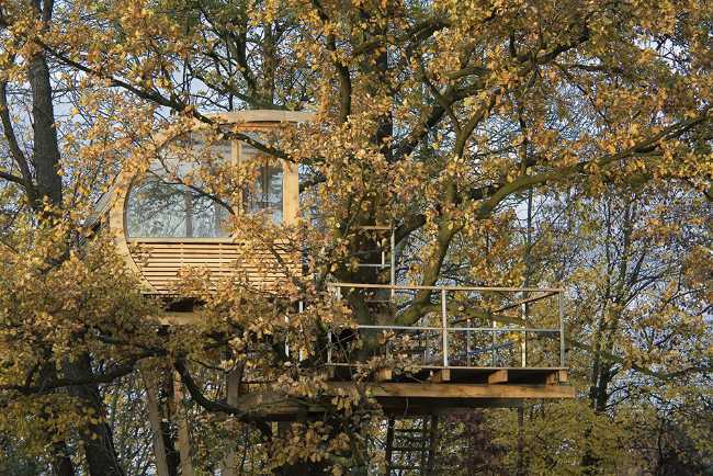 Casa semicircolare tra gli alberi