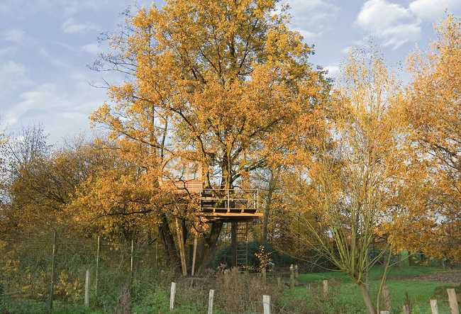 Casa semicircolare tra gli alberi