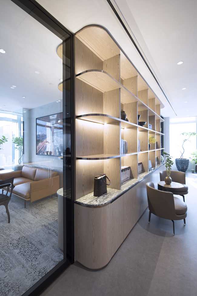 New design for an office in Hong Kong. Luxury workspace with organic shapes