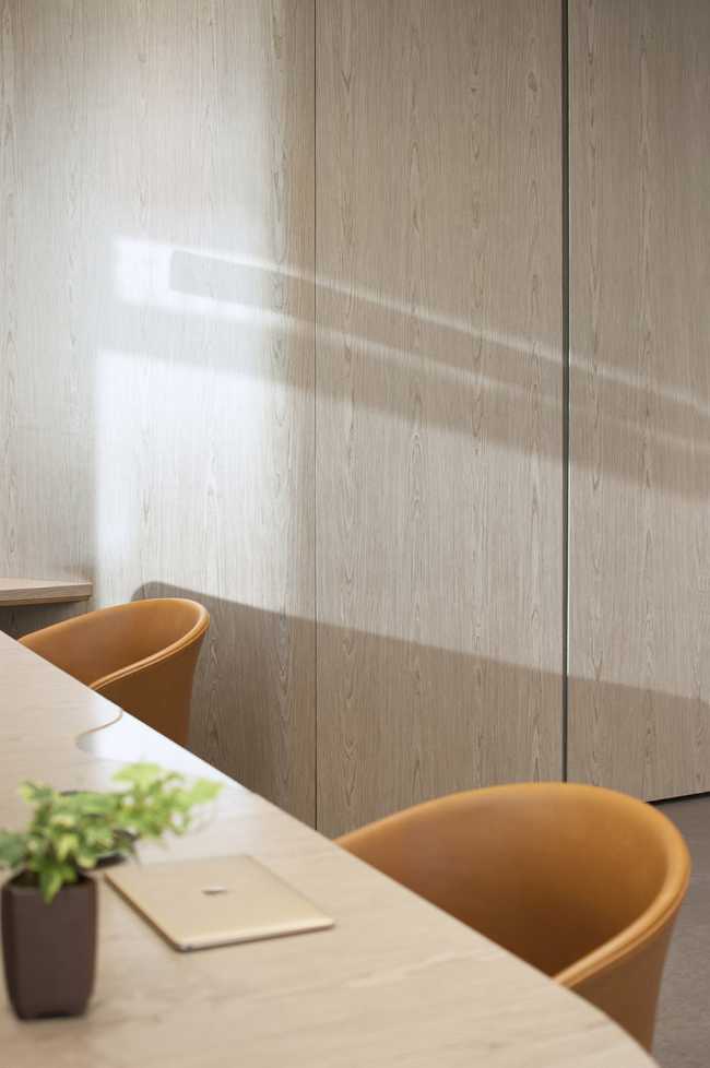 New design for an office in Hong Kong. Luxury workspace with organic shapes