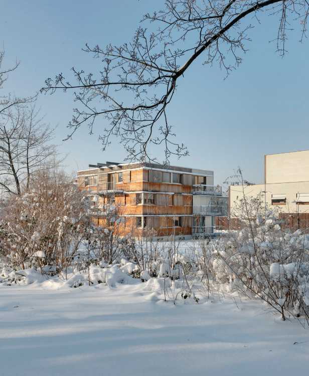 One cube, four facades. Warm, soft wood complements the white plaster façade