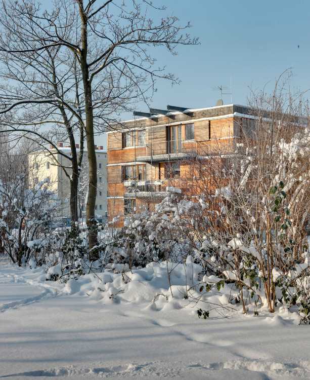 One cube, four facades. Warm, soft wood complements the white plaster façade